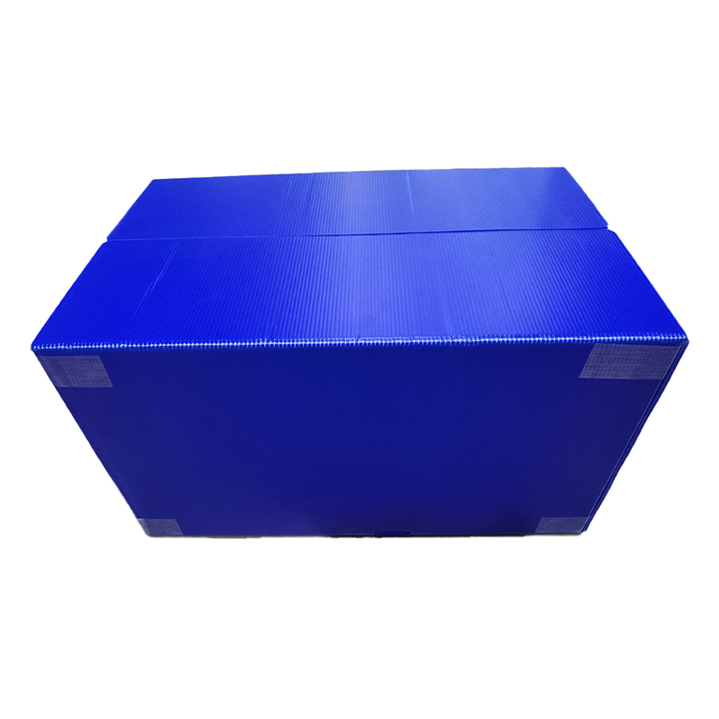Scatola portaoggetti in plastica ondulata PP con chiusura in velcro con foro per la mano