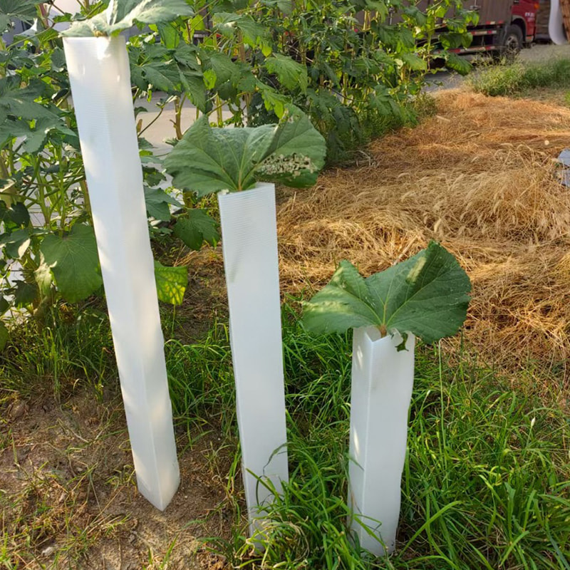 Tubo di protezione per alberi in plastica ondulata anti-morso