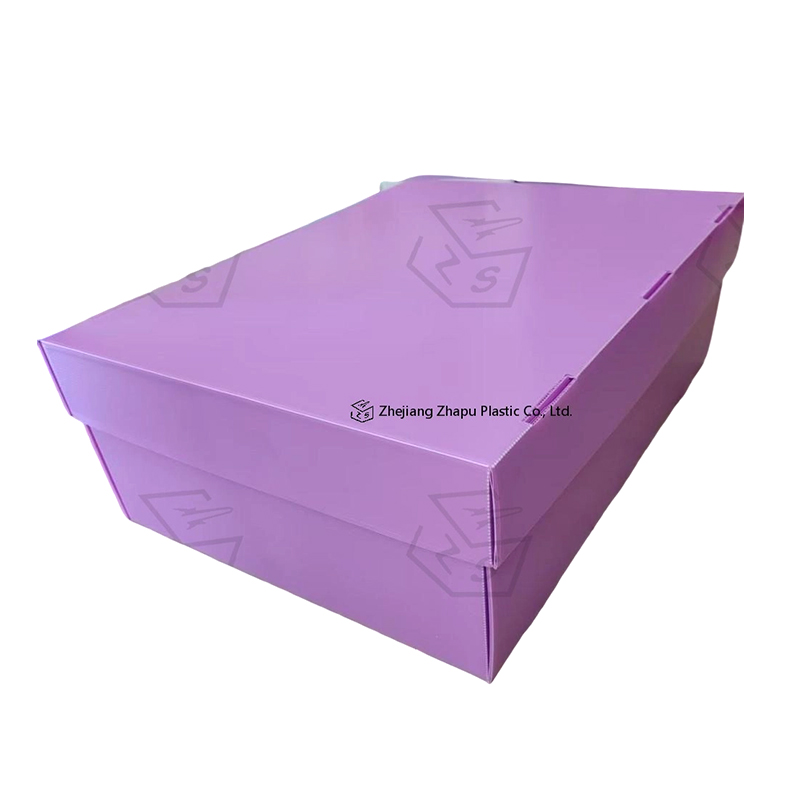 Scatola con coperchio superiore inferiore in plastica ondulata PP antistatica