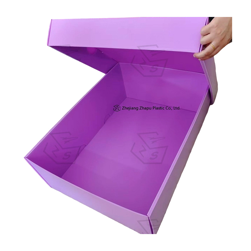 Scatola con coperchio superiore inferiore in plastica ondulata PP antistatica