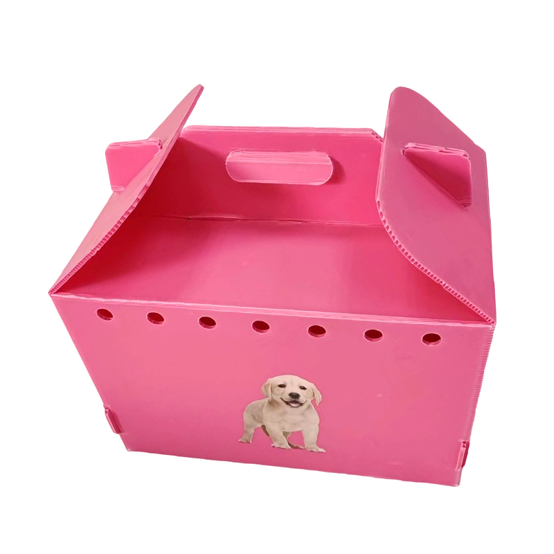 Trasportino per animali domestici in plastica ondulata pieghevole con foro d'aria multiplo