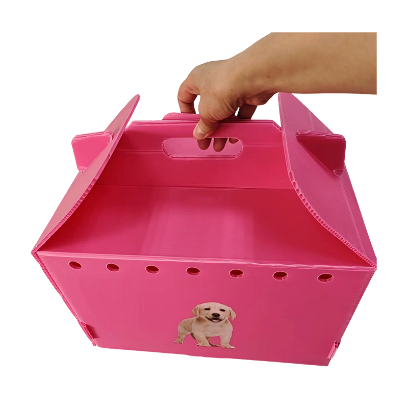 Trasportino per animali domestici in plastica ondulata pieghevole con foro d'aria multiplo