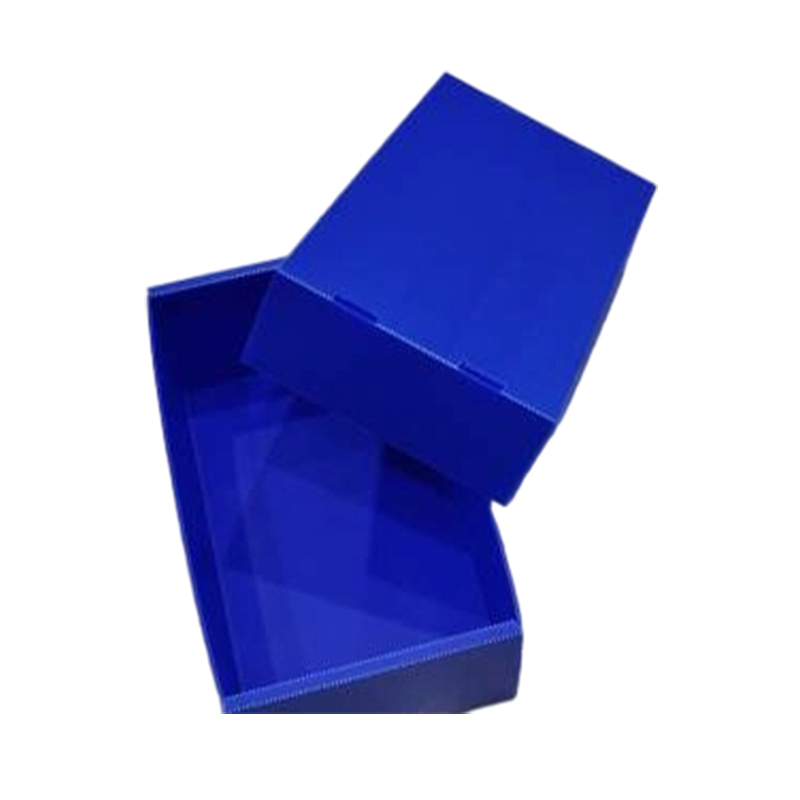 Scatola con coperchio superiore e inferiore pieghevole in plastica ondulata resistente alla polvere