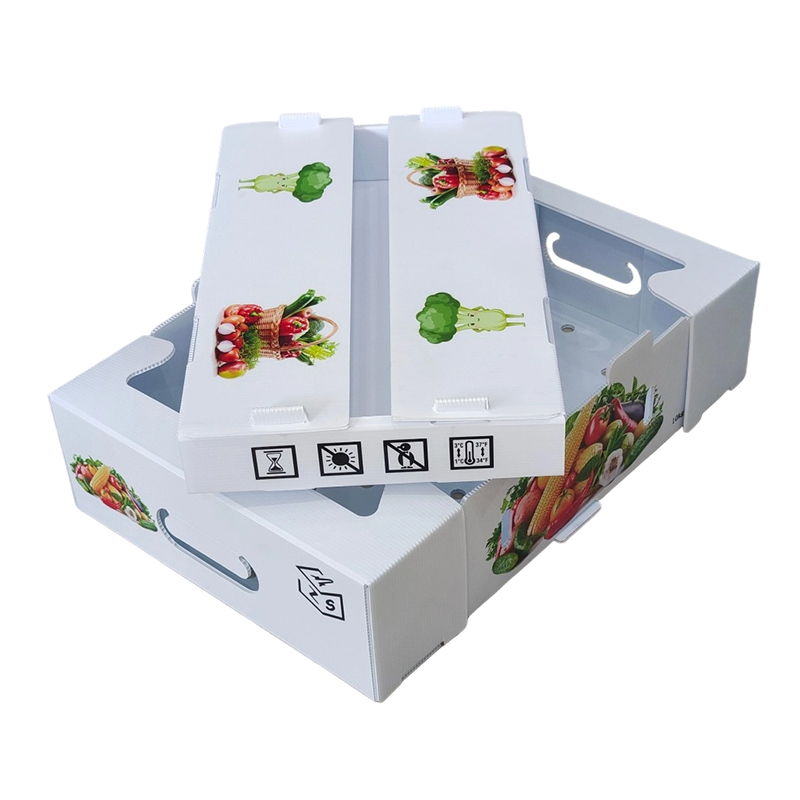 Scatola per il fatturato della frutta in plastica ondulata in PP stampata personalizzata a prova d'umidità