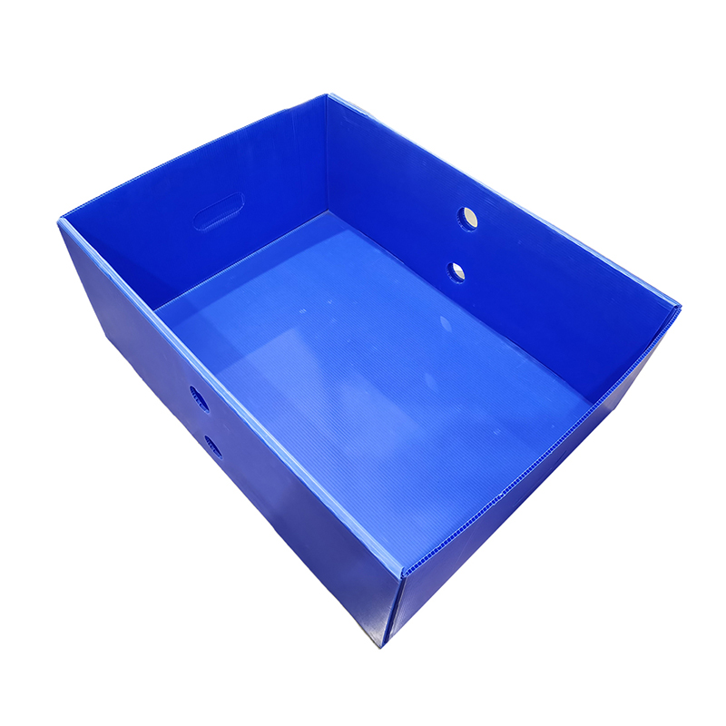 Scatola con coperchio superiore e inferiore in plastica ondulata riutilizzabile