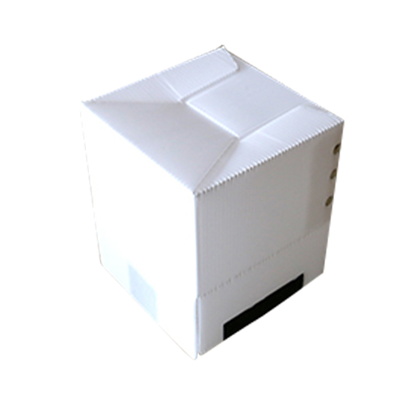 Scatola quadrata in lamiera cava ondulata in PP riciclabile con chiusura in velcro