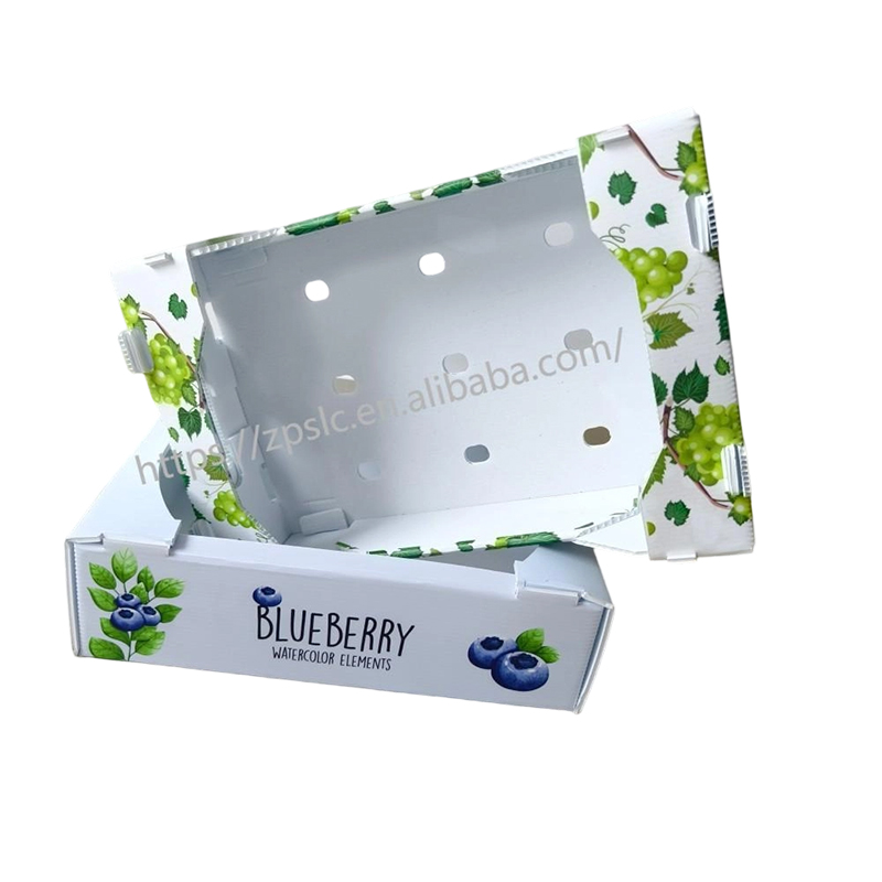 Scatola pieghevole in plastica ondulata PP con fori di ventilazione