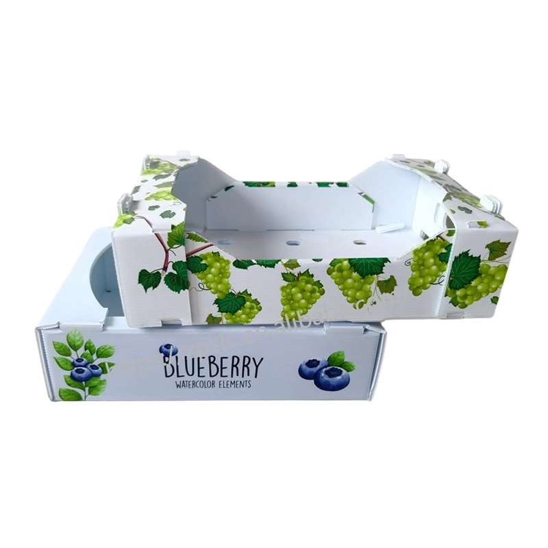 Scatola pieghevole in plastica ondulata PP con fori di ventilazione