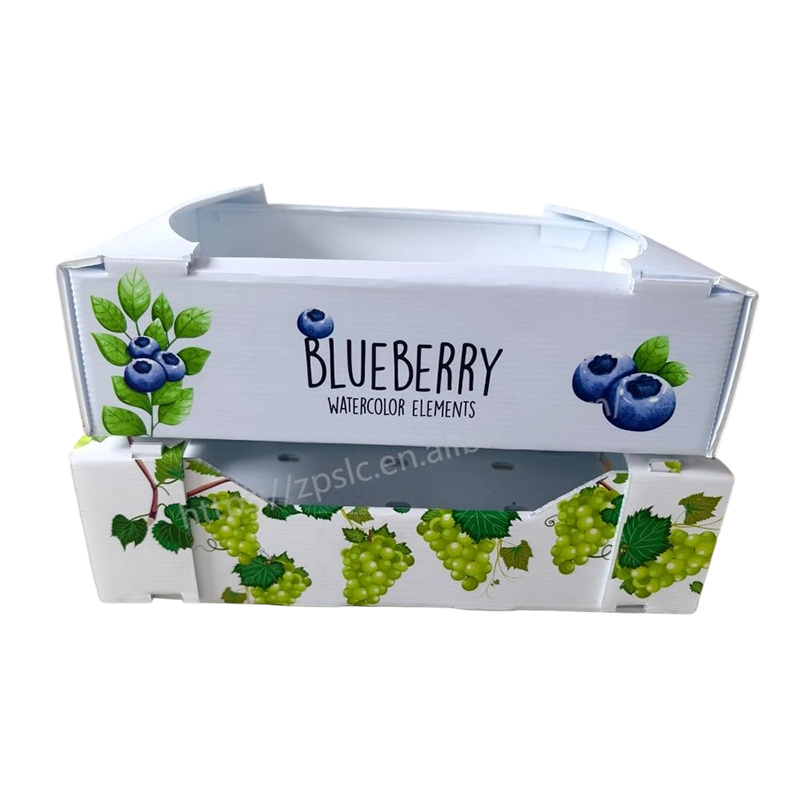 Scatola pieghevole in plastica ondulata PP con fori di ventilazione