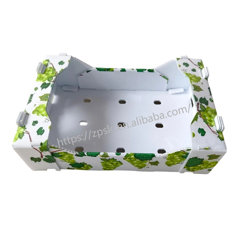 Scatola pieghevole in plastica ondulata PP con fori di ventilazione