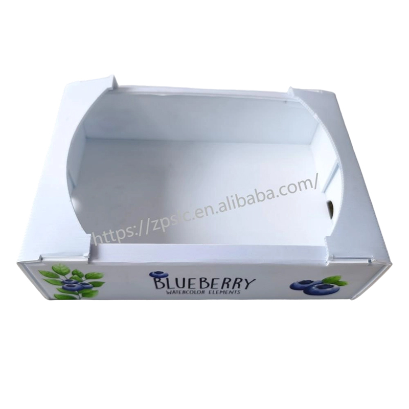 Scatola pieghevole in plastica ondulata PP con fori di ventilazione