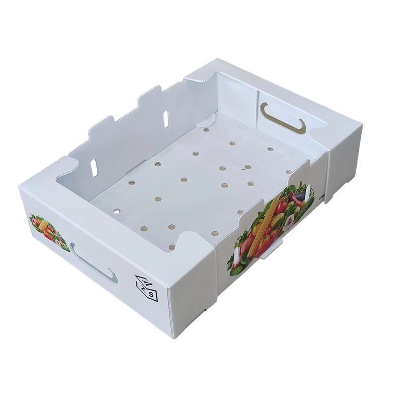 Scatola pieghevole in plastica ondulata PP con fori di ventilazione