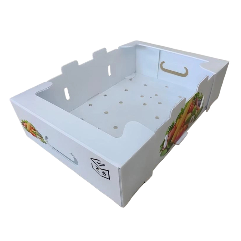 Scatola pieghevole in plastica ondulata PP con fori di ventilazione