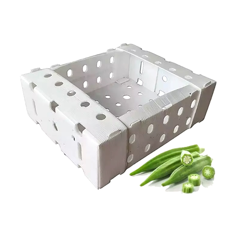 Scatola per imballaggio di frutta ondulata in plastica impilabile con coperchio aperto