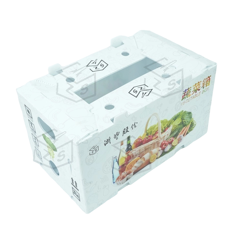 Contenitore per frutta riutilizzabile in corflute PP impermeabile