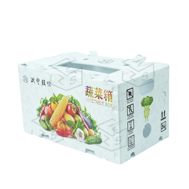 Contenitore per frutta riutilizzabile in corflute PP impermeabile
