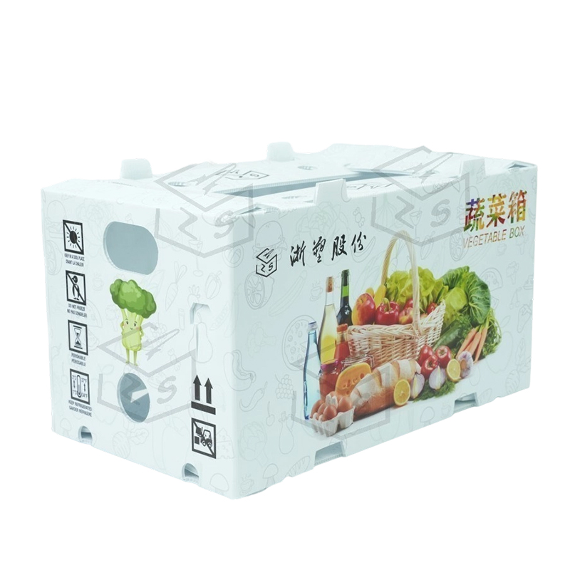 Contenitore per frutta riutilizzabile in corflute PP impermeabile