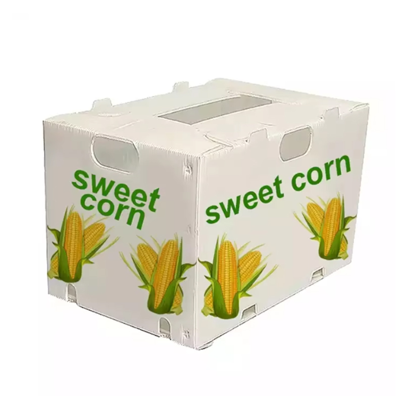 Contenitore per frutta riutilizzabile in corflute PP impermeabile