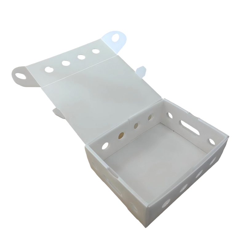 Scatola di imballaggio impilabile in fogli cavi ventilati in PP