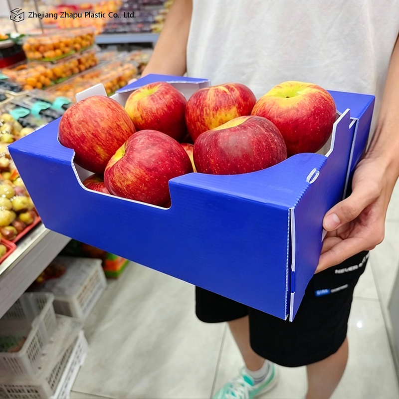 Scatola ondulata in PP stampata pieghevole per frutta e verdura