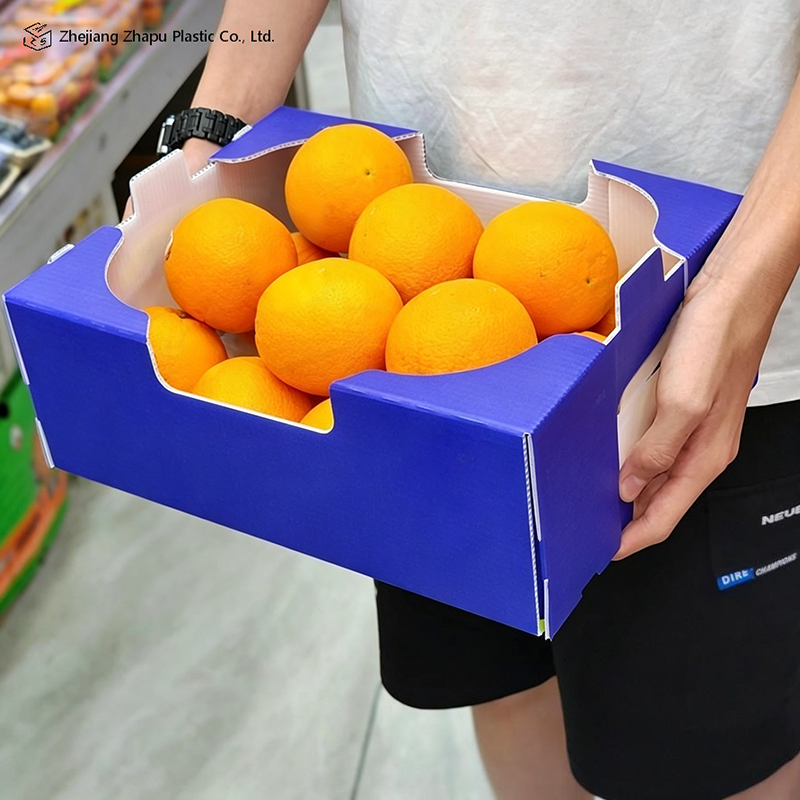 Scatola ondulata in PP stampata pieghevole per frutta e verdura