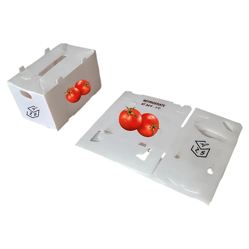 Scatola per frutta e verdura in plastica ondulata in PP con stampa personalizzata ventilata
